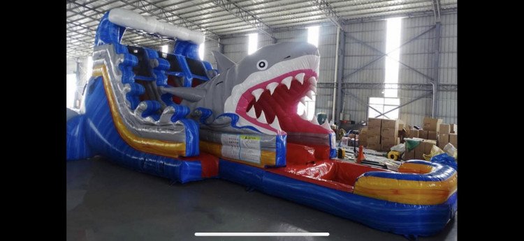 20' Shark Attack dual lane slide