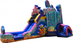 hb1 1708989286 Birthday Cake bounce house w/slide combo (wet/dry)