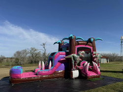 pdd1 1705282421 Pink Diva Dino bounce house w/slide combo (wet/dry)