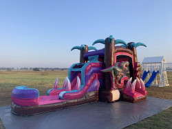 pdd 1718998225 Pink Diva Dino bounce house w/slide combo (wet/dry)